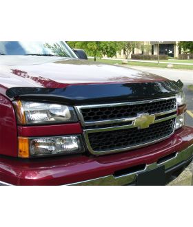 WeatherTech 50132 Stone And Bug Deflector