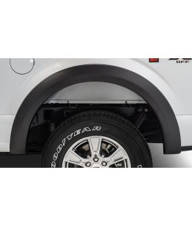 Stampede 8632-2R Original Riderz Fender Flare