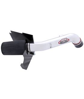 AEM Induction 21-8013DP Brute Force Induction System