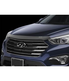 WeatherTech 50248 Stone And Bug Deflector