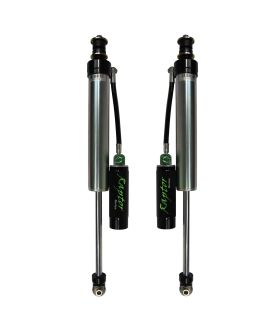 Raptor 170107-420600 Shock Absorber