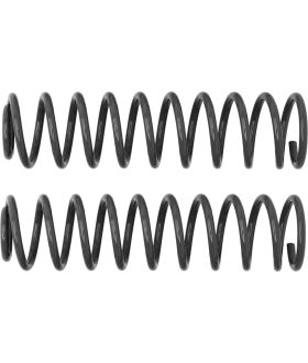 Rancho RS6416B Coil Spring Set