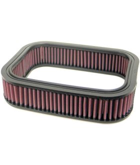 K&N Filters E-2925 Air Filter