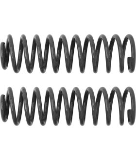 Rancho RS6417B Coil Spring Set